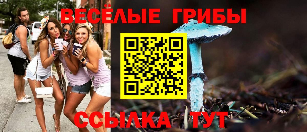 Галлюциногенные грибы Cubensis  Псилоцибиновые грибы GOLDEN TEACHER  Муром  Вход с VPN 